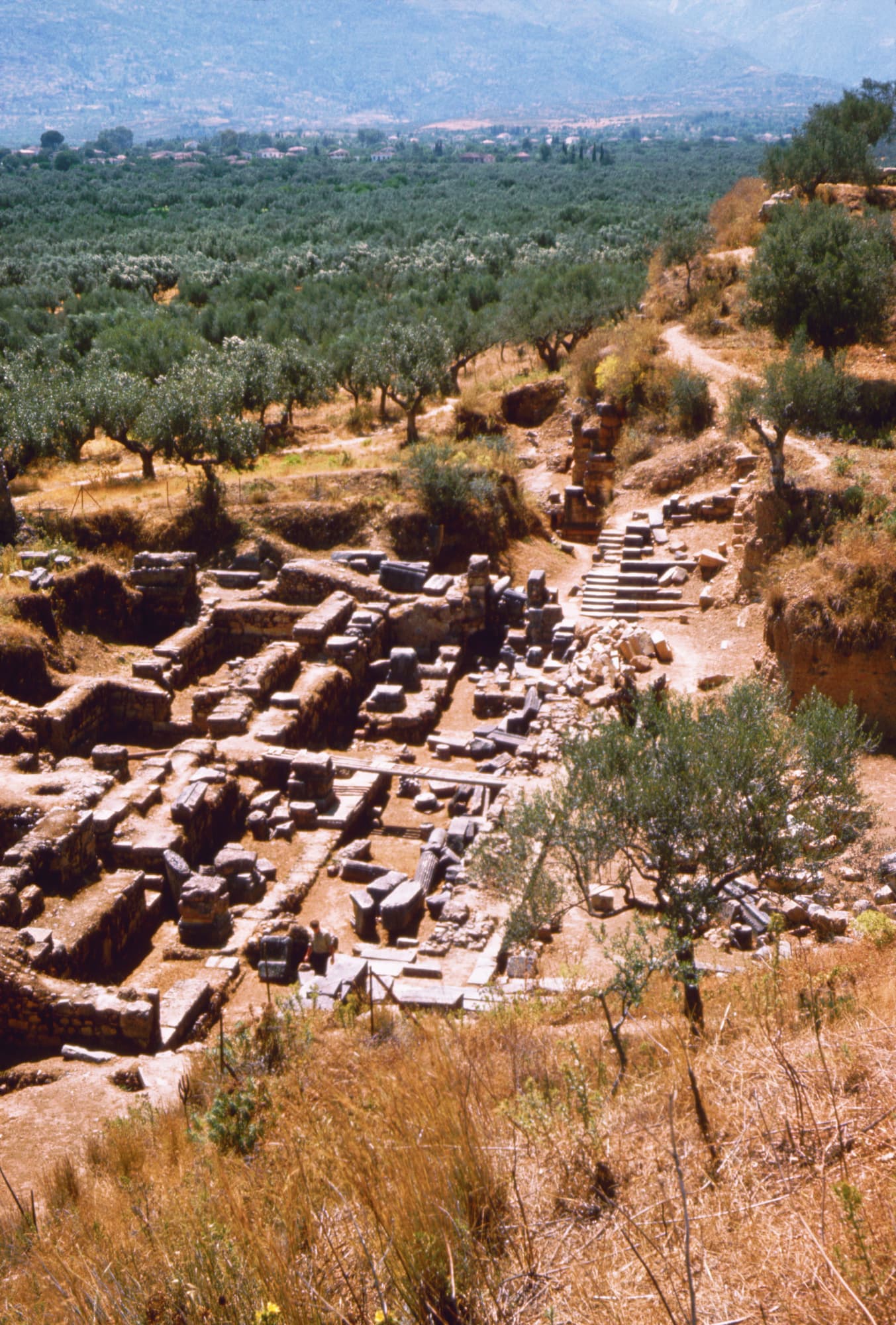 Monterrasol private tours to Sparta, Greece. Travel agency offers